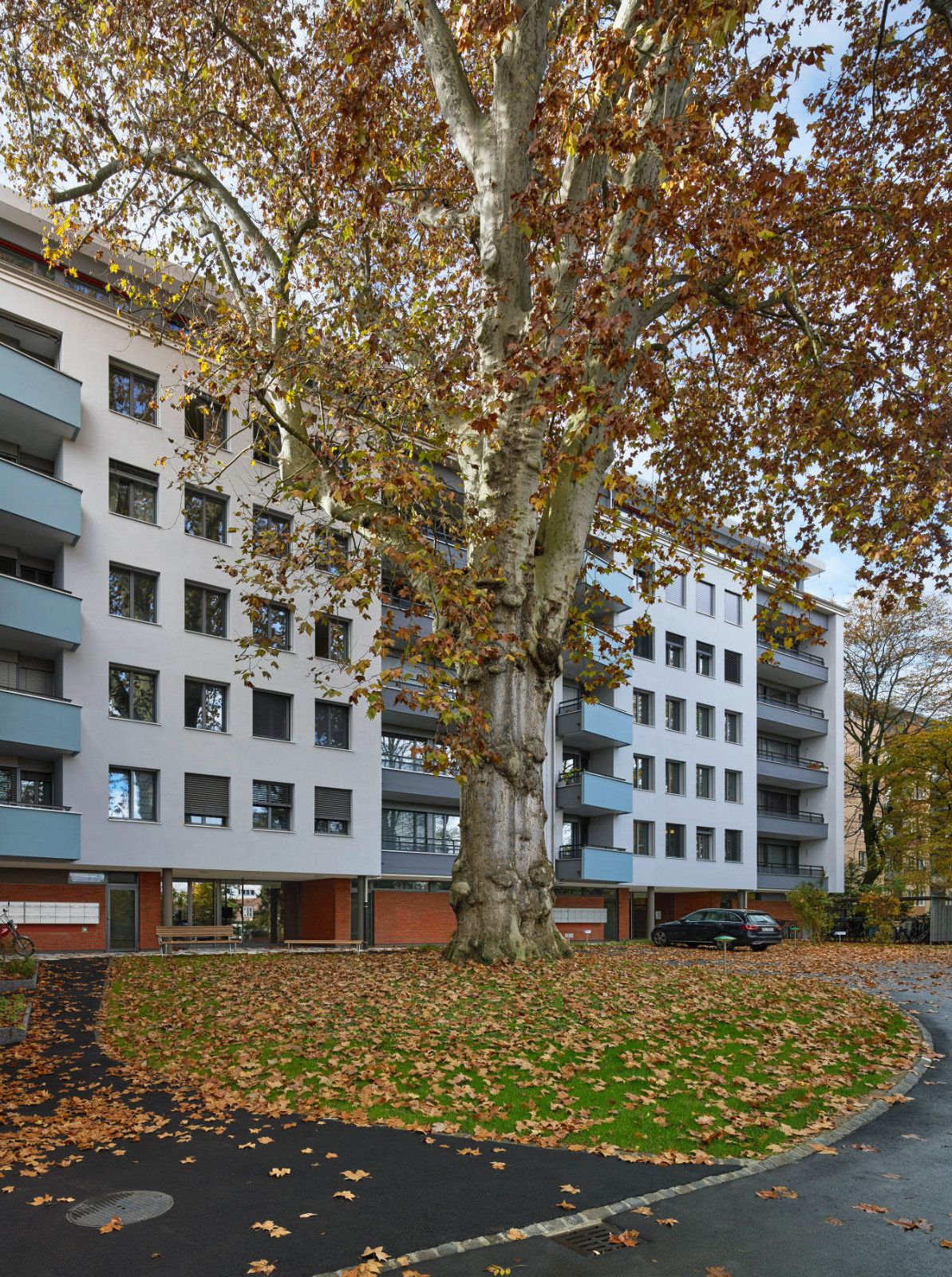 Projektbild Fassadensanierung und Aufstockung von drei Mehrfamilienhäsuern am Gundeldingerrain in Basel