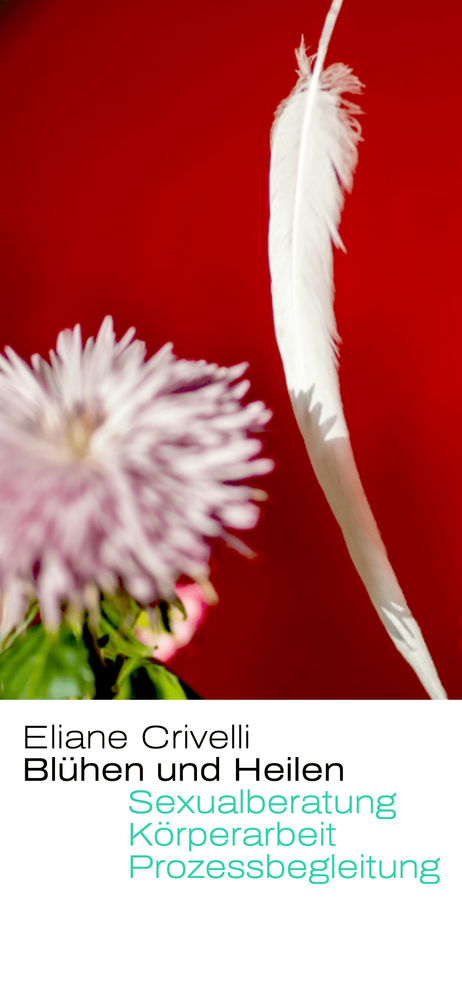 Webseite Ansichtsbild undefined